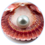 �й�������(bw������ķ��)���޹�˾-Official website